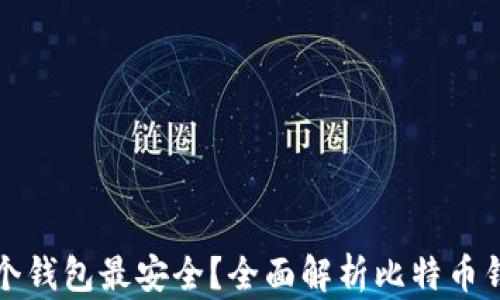 
比特币存哪个钱包最安全？全面解析比特币钱包的安全性