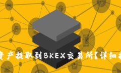 如何将TP钱包中的资产提取到BKEX交易所？详细指