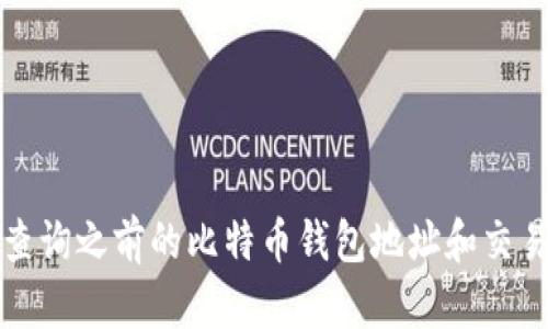 如何查询之前的比特币钱包地址和交易记录