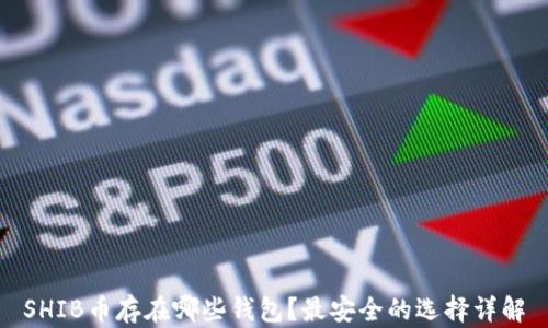 
SHIB币存在哪些钱包？最安全的选择详解