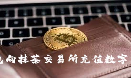 如何使用TP钱包向抹茶交易所充值数字货币的详细指南