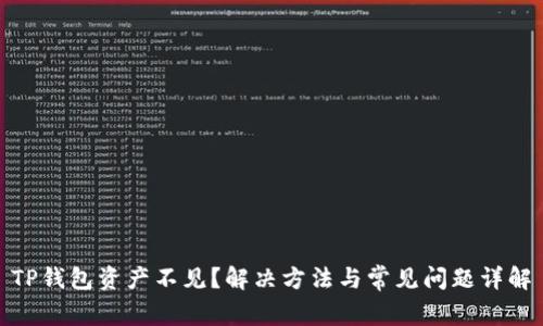 TP钱包资产不见？解决方法与常见问题详解