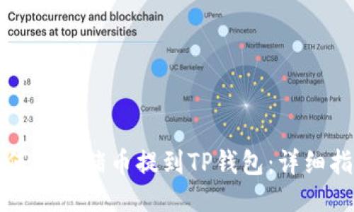 如何将猪猪币提到TP钱包：详细指南
