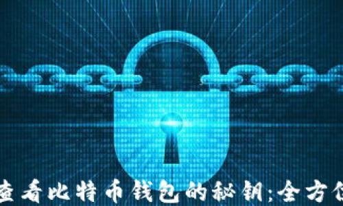 
如何查看比特币钱包的秘钥：全方位指南