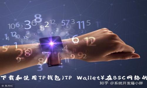 如何下载和使用TP钱包（TP Wallet）在BSC网络的指南