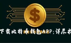 安卓用户如何下载比特币钱包APP：详尽指南与最