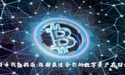 比特币钱包指南：选择最适合你的数字资产存储方案