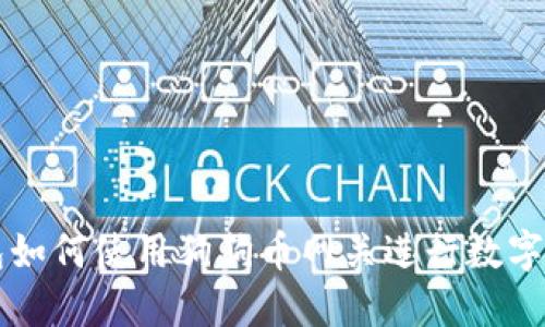 雷达钱包如何使用狗狗币网关进行数字资产管理