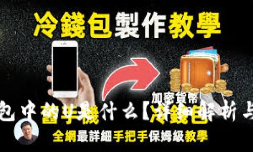 TP数字钱包中的U是什么？详细解析与使用指南