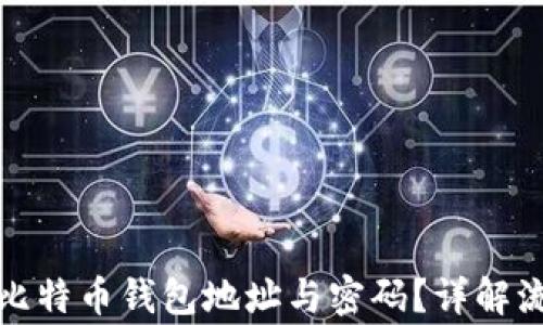 
如何安全查询比特币钱包地址与密码？详解流程与注意事项